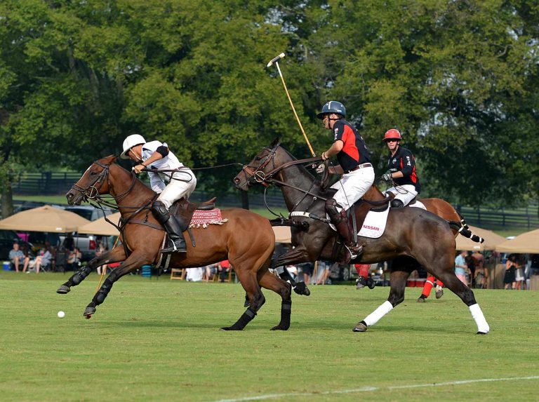 WORLD CLASS POLO PLAYER NIC ROLDAN TO HEADLINE CHUKKERS FOR CHARITY EVENT