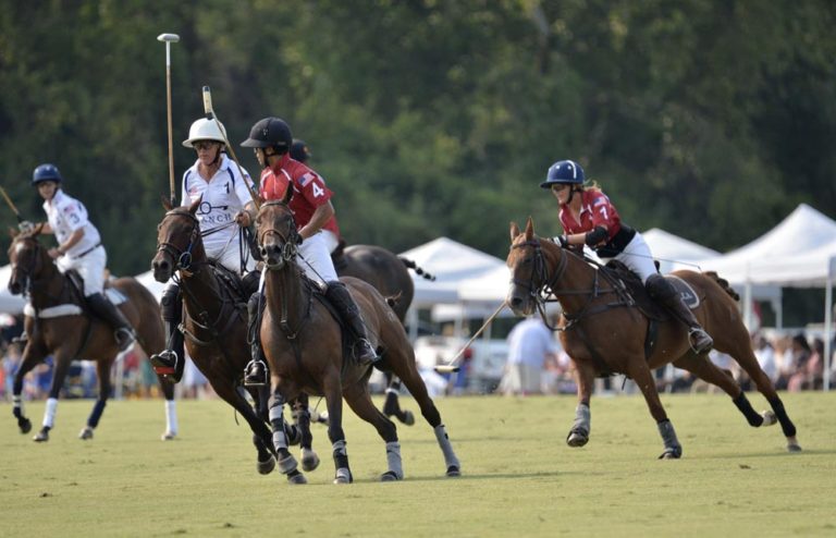NFocus names Chukkers for Charity Best Sporting Event Fundraiser