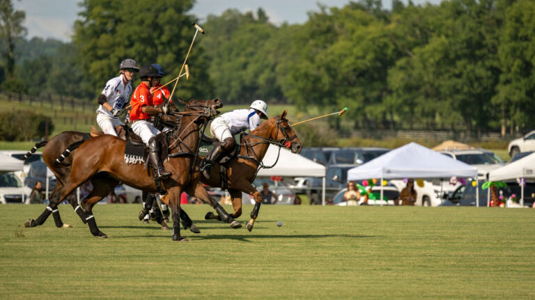 Talk of The Town: Chukkers for Charity event is back again raising money for the Rochelle Center and Saddle Up